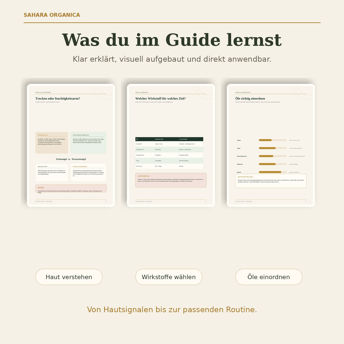 Einblick in die Inhalte des SKIN INTELLIGENCE Hautpflege-Guides